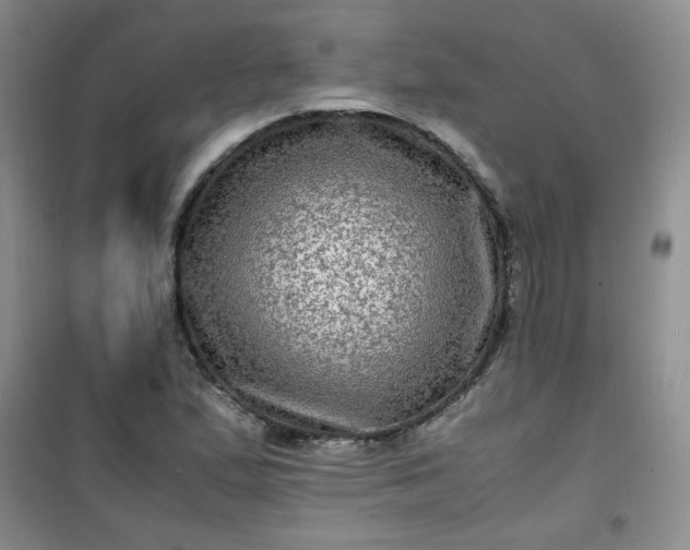 X0000100951167200807081211