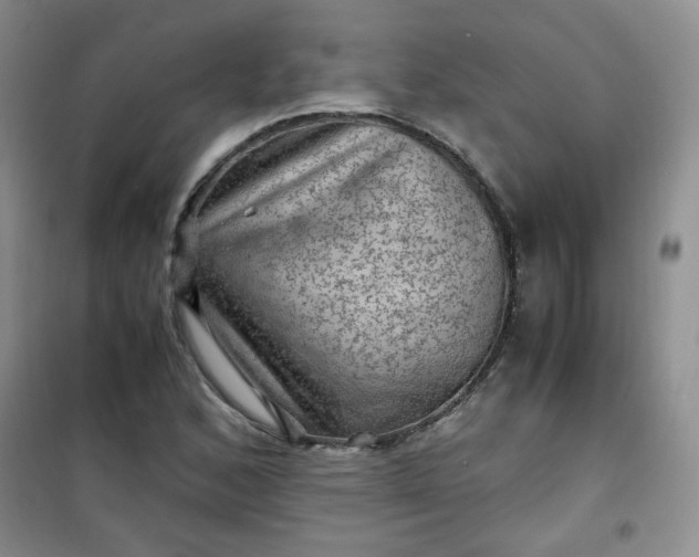 X0000100951168200807081211