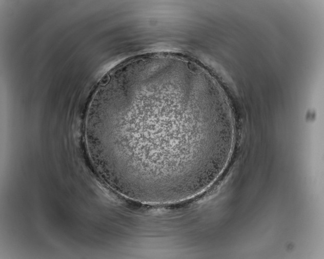 X0000100951169200807081211