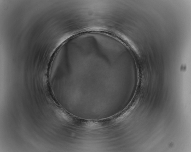 X0000100951170200807081211