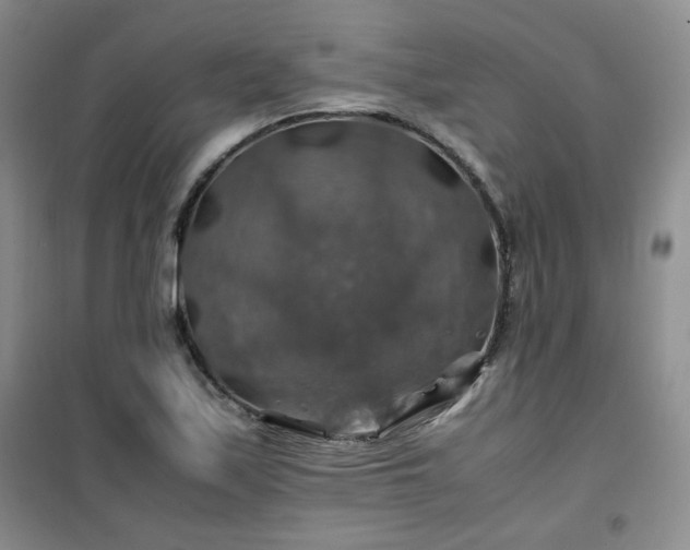 X0000100951171200807081211