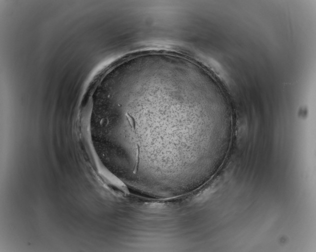 X0000100951172200807081211