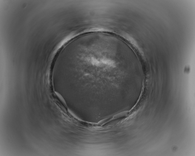 X0000100951173200807081211