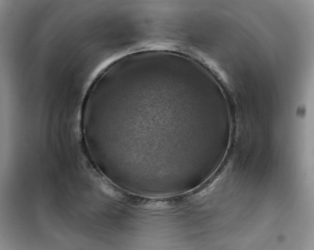 X0000100951174200807081211