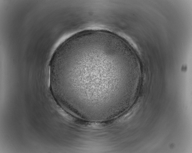 X0000100951175200807081211