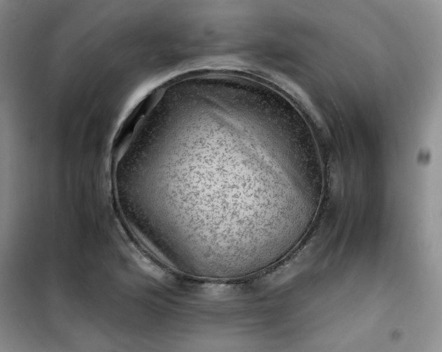 X0000100951176200807081211