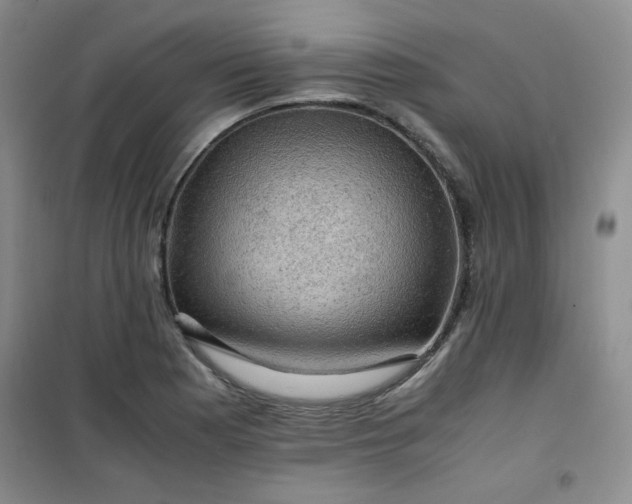 X0000100951177200807081211