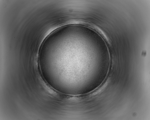 X0000100951178200807081211