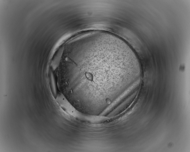 X0000100951180200807081211