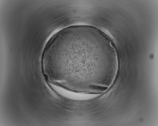 X0000100951181200807081211