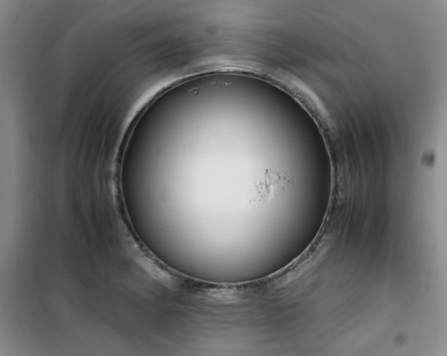 X0000100951182200807081211