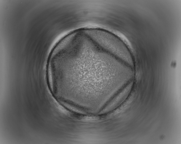 X0000100951183200807081211