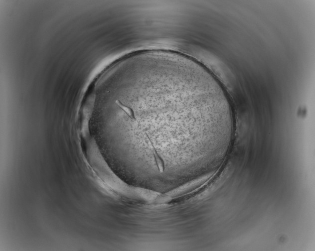 X0000100951184200807081211