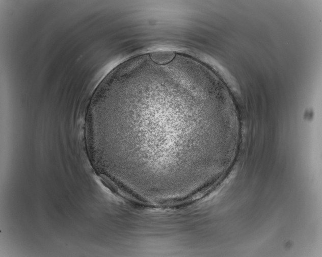 X0000100951185200807081211