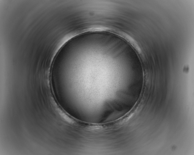 X0000100951186200807081211