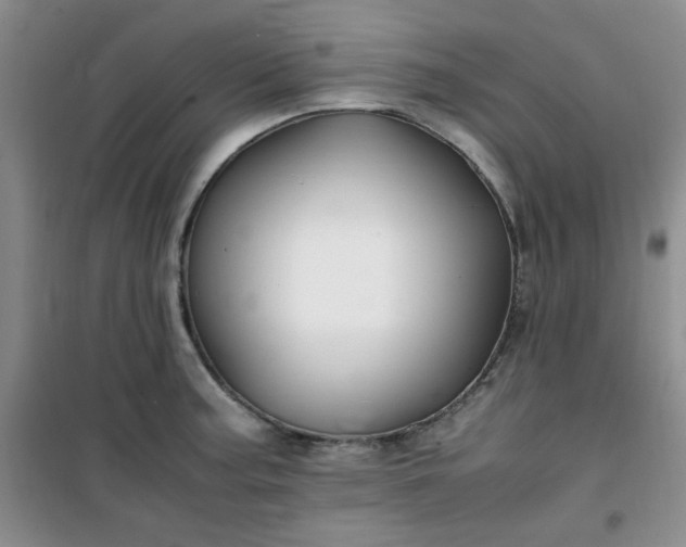 X0000100951187200807081211