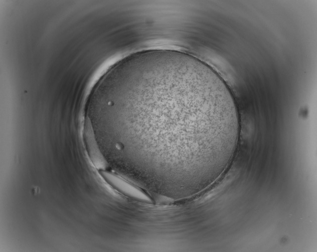 X0000100951188200807081211