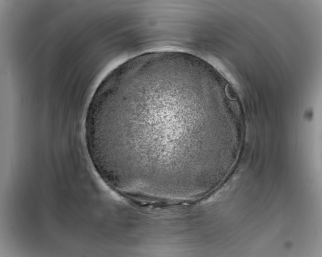 X0000100951189200807081211