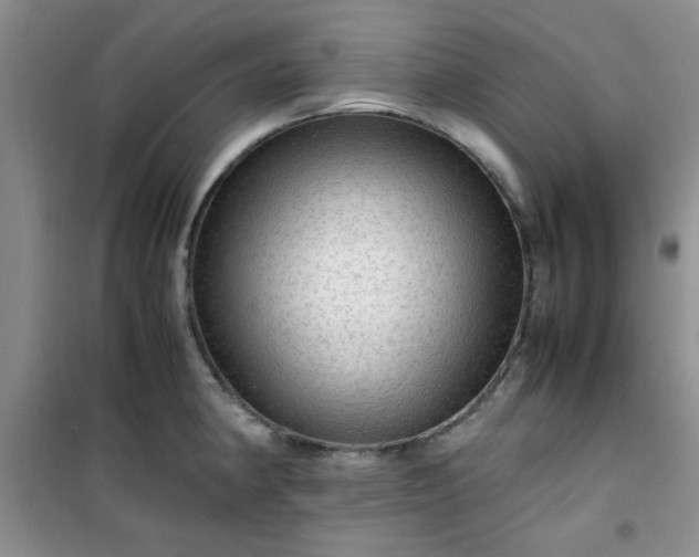 X0000100951190200807081211