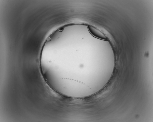 X0000100951191200807081211