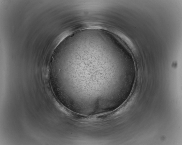 X0000100951193200807081211