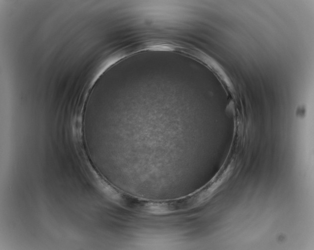 X0000100951194200807081211