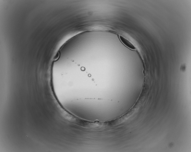 X0000100951195200807081211