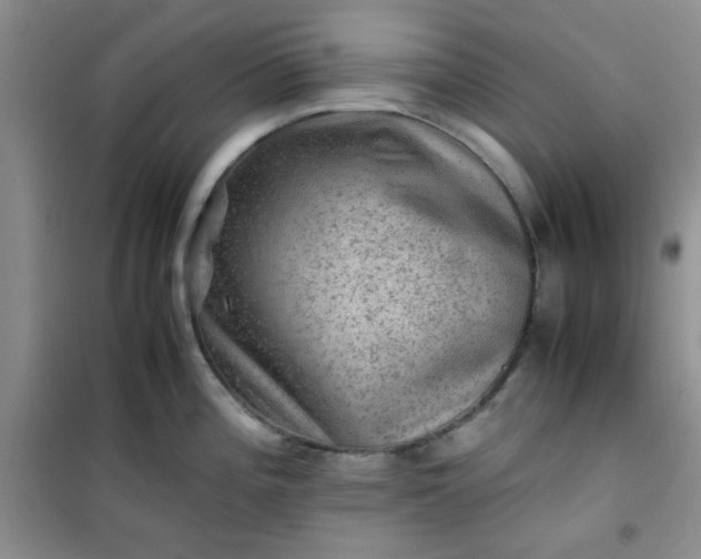 X0000100951196200807081211