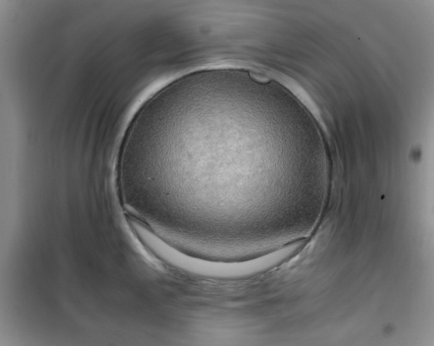 X0000100951197200807081211