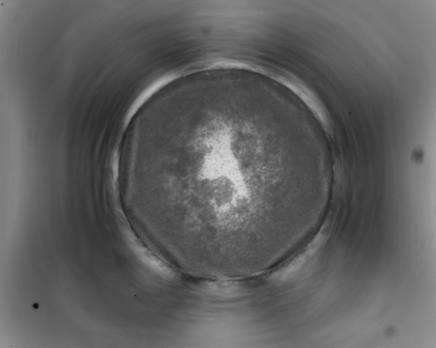 X0000100951198200807081211