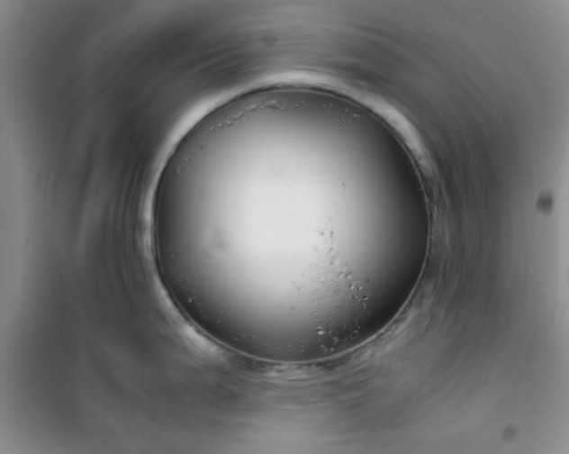 X0000100951199200807081211