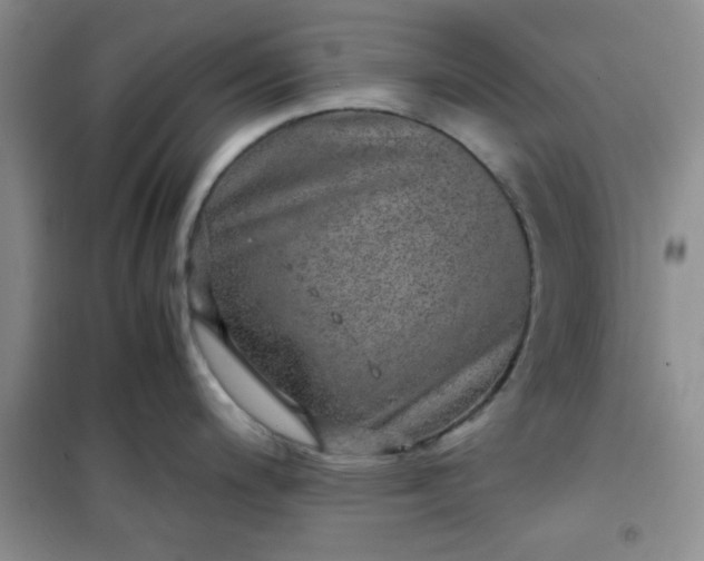 X0000100951200200807081211