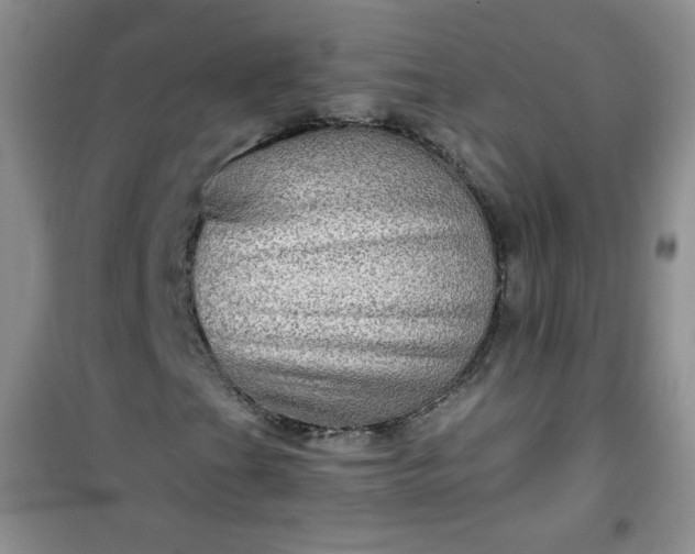 X0000100951201200807081210