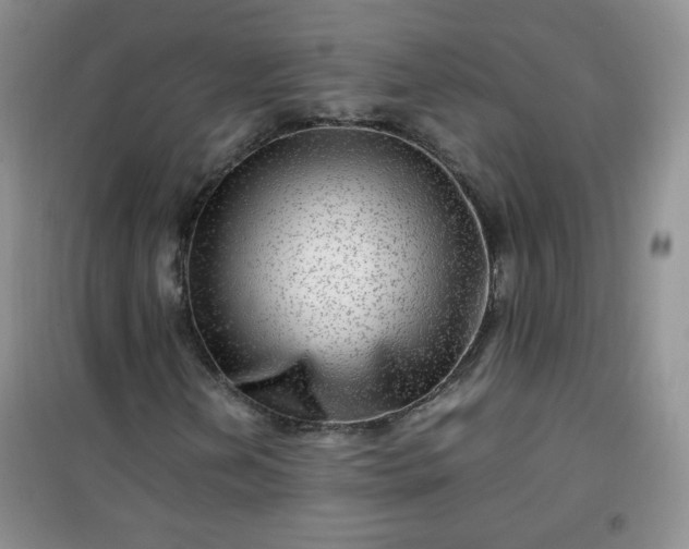 X0000100951202200807081210