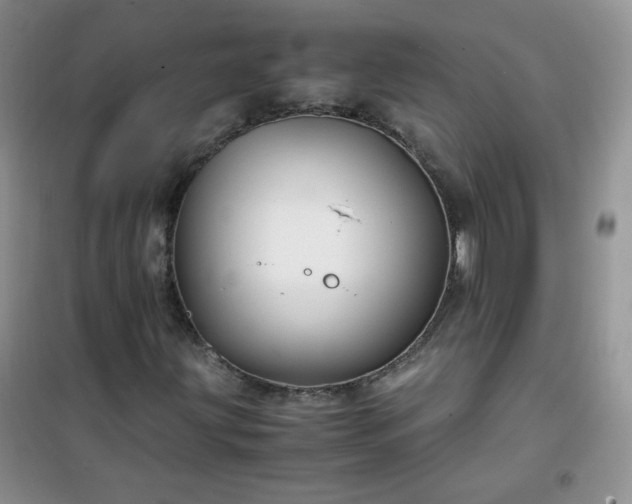 X0000100951203200807081210