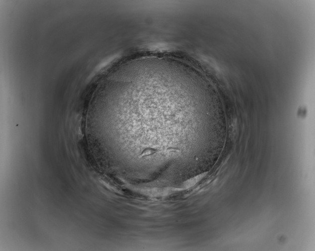 X0000100951205200807081210