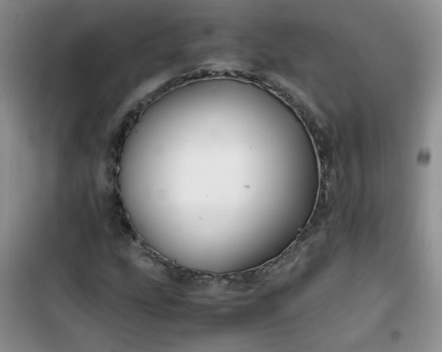 X0000100951207200807081210