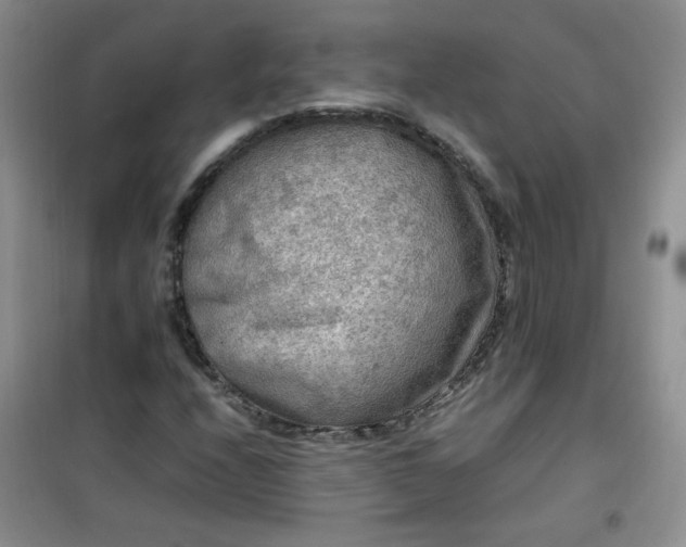 X0000100951208200807081210