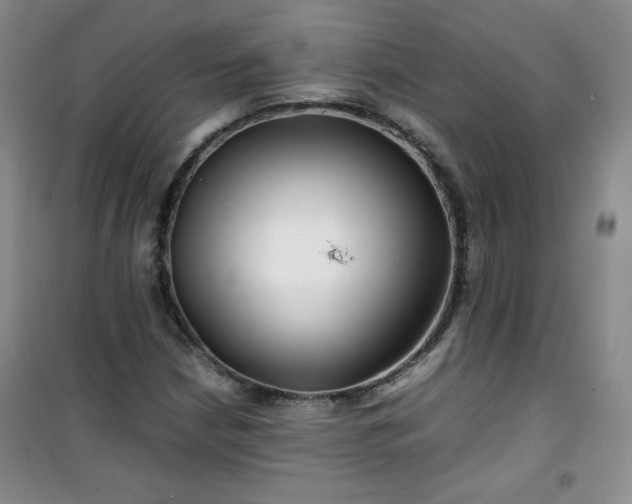 X0000100951210200807081210