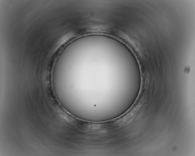 X0000100951211200807081210