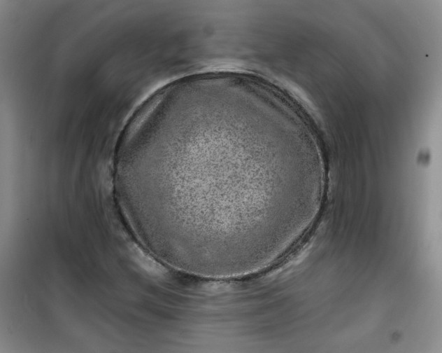 X0000100951212200807081210