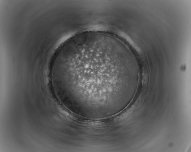 X0000100951213200807081210