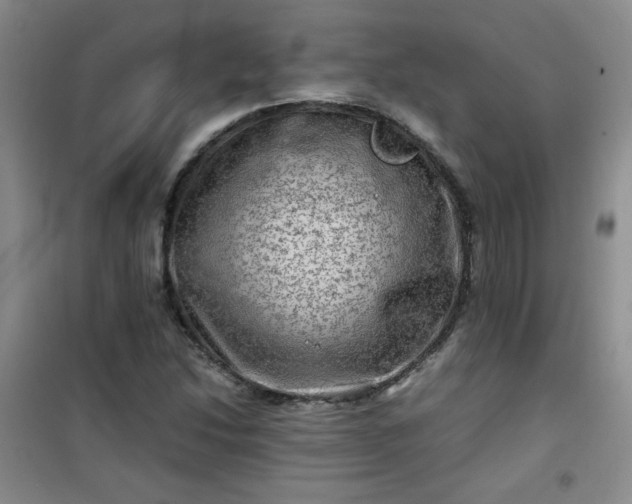 X0000100951214200807081210