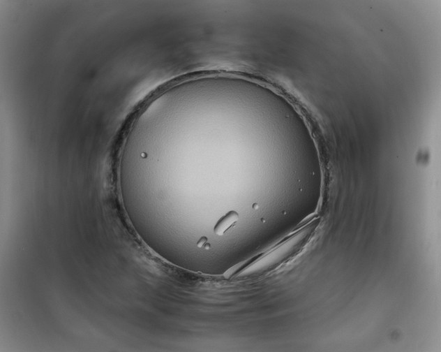 X0000100951215200807081210