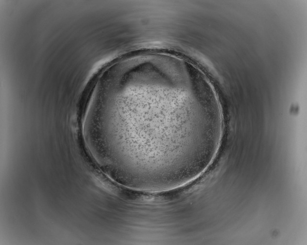 X0000100951218200807081210