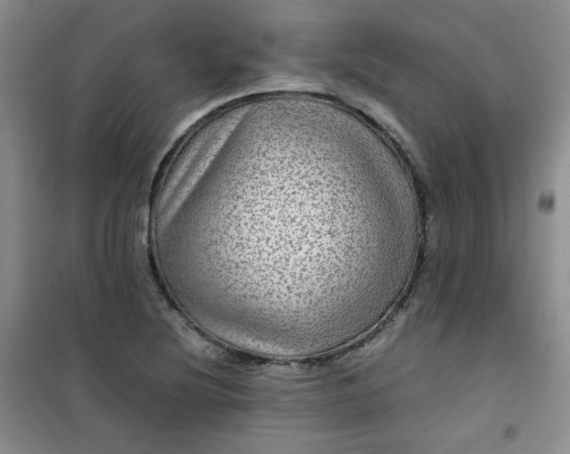 X0000100951220200807081210