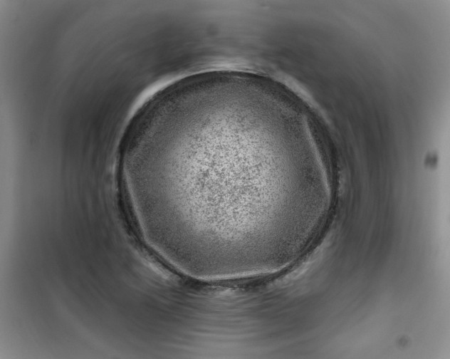 X0000100951222200807081210