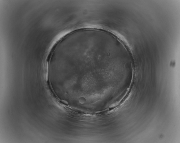 X0000100951223200807081210