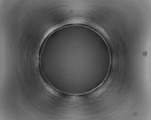 X0000100951226200807081210