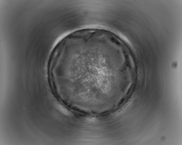 X0000100951230200807081210